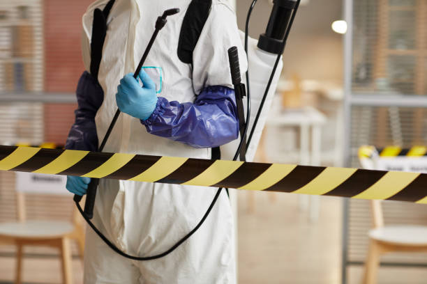 Professional Odor Removal technician working in Bloomington, TX