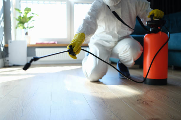 Reliable Odor Removal contractor in Bloomington, TX by Dulley Family Biohazard Services